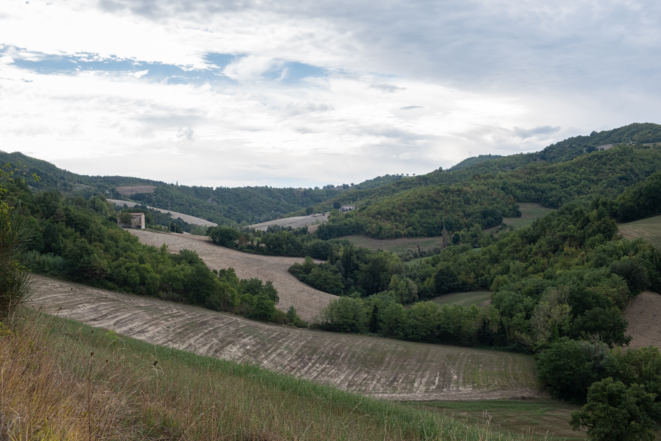 Gepflügte Hänge und Wälder im Hügelland unter Wolken